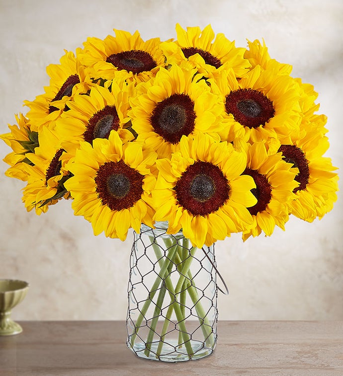 20 Stems Sunflowers by Southern Living™